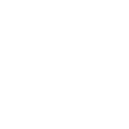 Ikon, regnskapsører i samtale med person