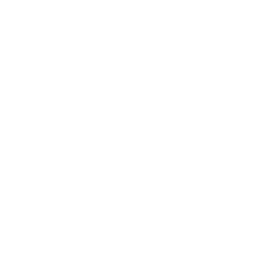 Ikon, regnskapsfører med grafer